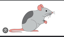 Mini urn 'rat'