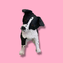 Je eigen hond als beeld