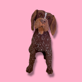 Je eigen hond als beeld (VOORBEELD)