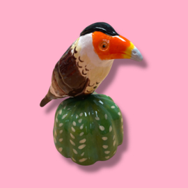 Mini urn 'warawara op cactus'