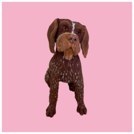 Je eigen hond als beeld (VOORBEELD)