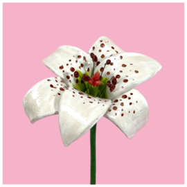 Bloemenwinkel