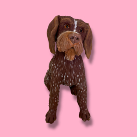 Je eigen hond als beeld (VOORBEELD)