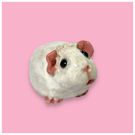 Je eigen cavia als beeldje