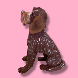 Je eigen hond als beeld (VOORBEELD)