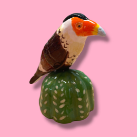 Mini urn 'warawara op cactus'