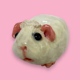 Je eigen cavia als beeldje