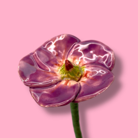 Geranium van keramiek