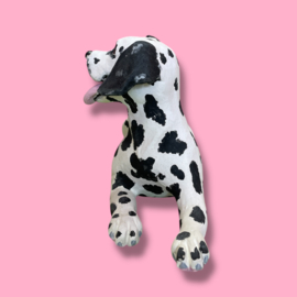 Je eigen hond als beeld (VOORBEELD)