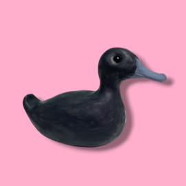 Kleine urn 'zwarte eend'