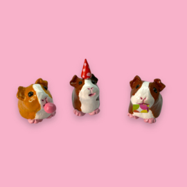 Online workshop cavia's