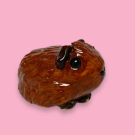 Je eigen cavia als beeldje