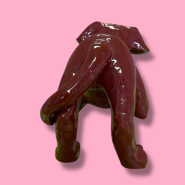 Je eigen hond als beeld (VOORBEELD)