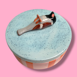 Dooie mus koektrommel oranje/roze gestreept lblauw gespikkeld deksel