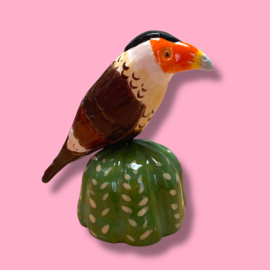 Mini urn 'warawara op cactus'
