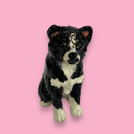 Workshop Maak je eigen hond.  22-10  en 19-11 19:30 uur