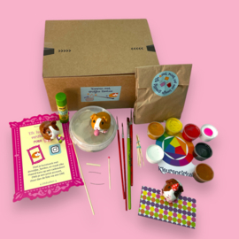 Online workshop cavia's