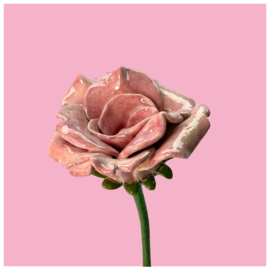Roze roos van keramiek