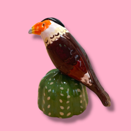 Mini urn 'warawara op cactus'
