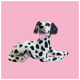 Je eigen hond als beeld (VOORBEELD)