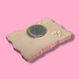 Broche 'cavia hoi' roze