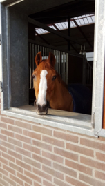 Troostkeramiek: Lady