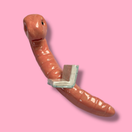 Boekenwurm a.k.a regenworm met boek