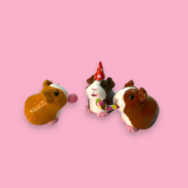 Online workshop cavia's