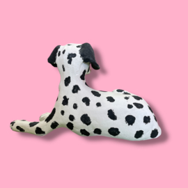 Je eigen hond als beeld (VOORBEELD)