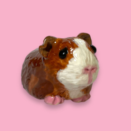 Je eigen cavia als beeldje