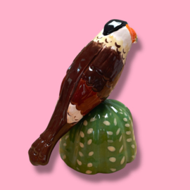Mini urn 'warawara op cactus'