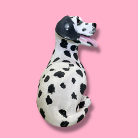 Je eigen hond als beeld (VOORBEELD)