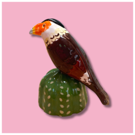 Mini urn 'warawara op cactus'