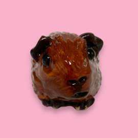 Je eigen cavia als beeldje