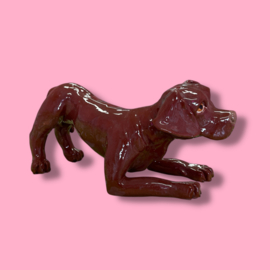 Je eigen hond als beeld (VOORBEELD)