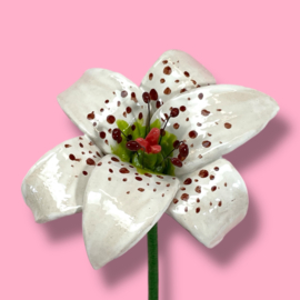 Witte lelie van keramiek