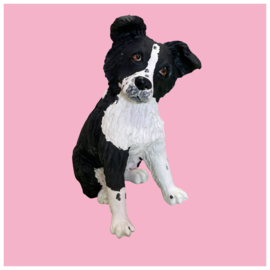 Je eigen hond als beeld