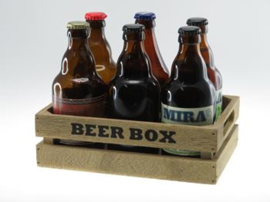 Beer Box 6 buikfles