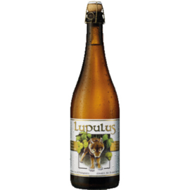 LUPULUS - BLONDE TRIPEL