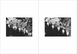 BIII-124.02