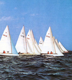 REGATTA