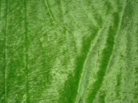Velours de panne Kleur  Groen ART VL42 10 meter