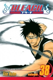 Bleach Vol.38