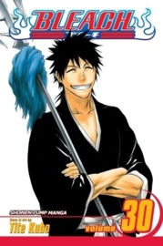 Bleach Vol.30