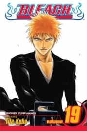 Bleach Vol.19