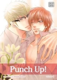 Punch Up! Vol. 4 (Yaoi)