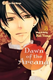 Dawn of the Arcana  Vol.3