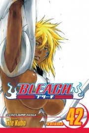 Bleach Vol.42