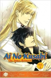 Ai No Kusabi the Space Between, Volume 8 (Yaoi Novel)