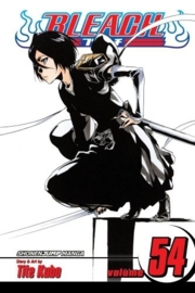 Bleach Vol.54